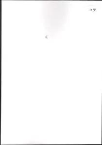 )la fondation mythique de rome dans une mosaique de lixus