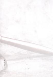 مدخل للعلوم القانونية أسس ومبادئ نظرية القانون ونظرية الحق مع تطبيقات عملية