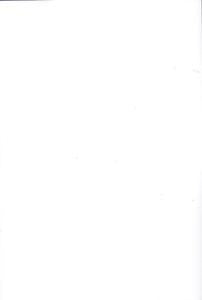 أضواء على جنحة انتزاع عقار من حيازة الغير